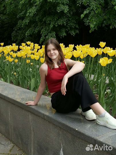 Выгул собак