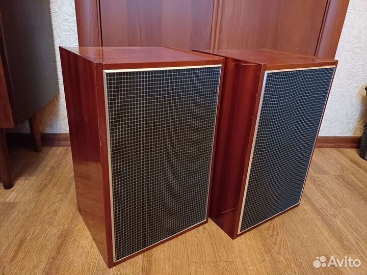 Акустика 10 мас 1м на кобальте