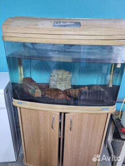 Аквариум джебо