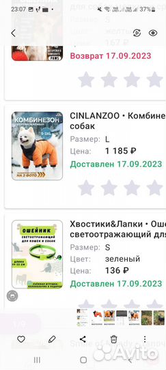 Одежда для средних собак