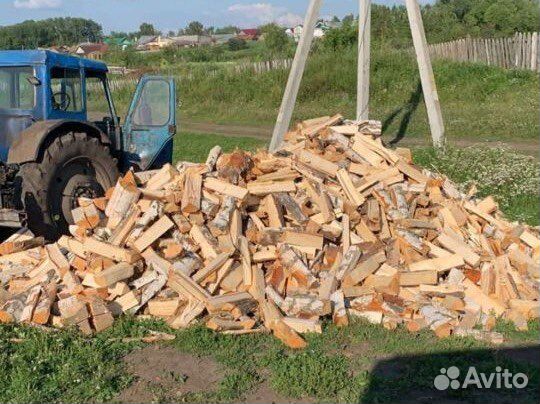 Дрова берёза