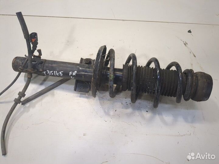 Амортизатор подвески Seat Ibiza 4, 2011