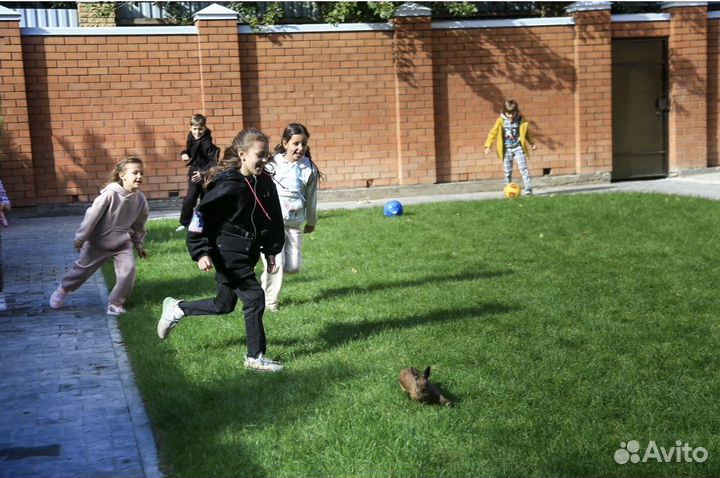 Подготовка детей к школе в 1 класс западный