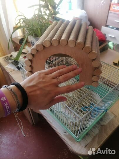 Прожам домик для хомяка