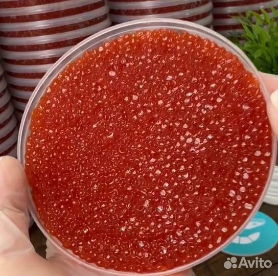 Красная икра оптом в Челябинске