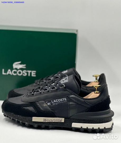 Lacoste (Арт.56162)