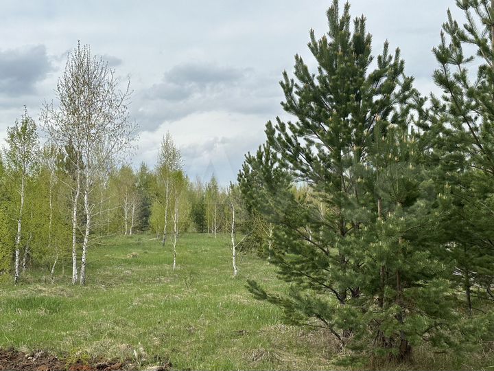 Участок 10 сот. (ИЖС)