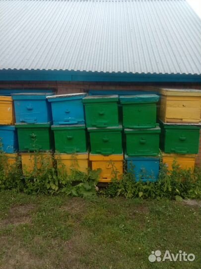 Дадановский Улей