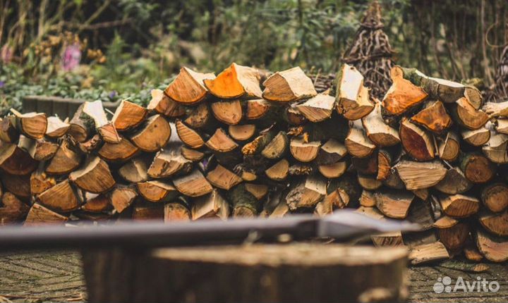 Дрова без гнили