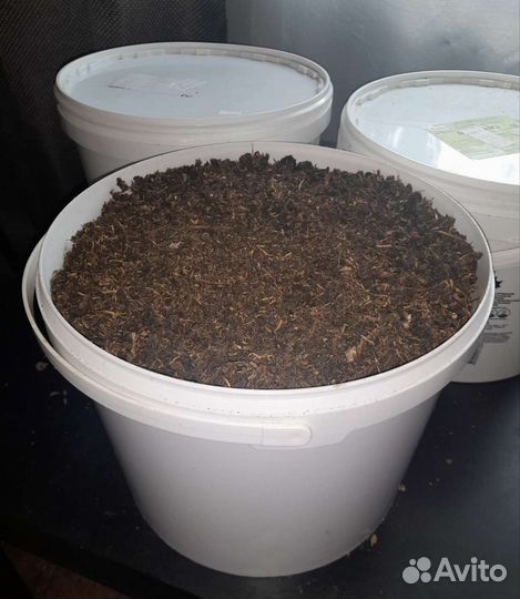 Иван-чай (Кипрей). Ферментированный