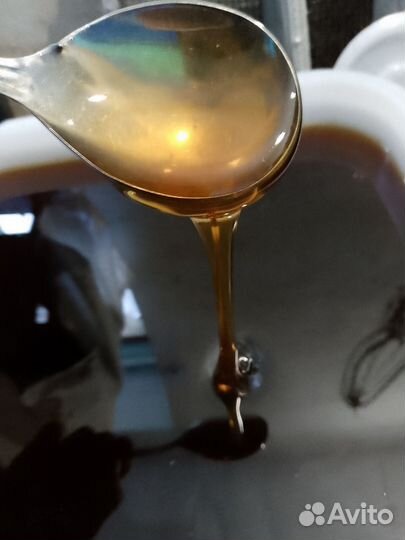 Свежий алтайский мёд