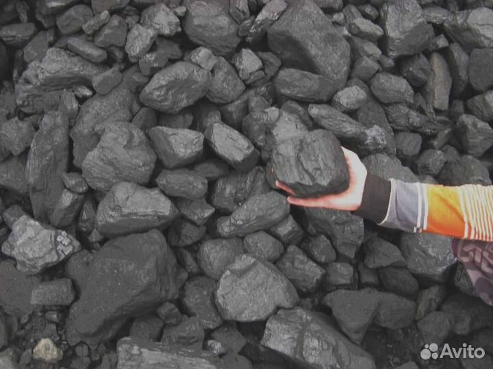 Лиственница, клён, дуб — дрова для традиционного тепла