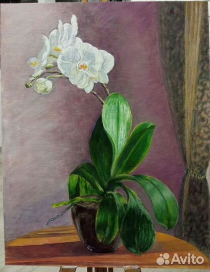 Орхидея, холст на картоне/ масло
