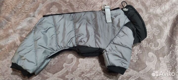 Одежда для маленьких собак