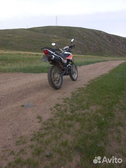 Racer panther 250