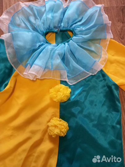 Костюм петрушки