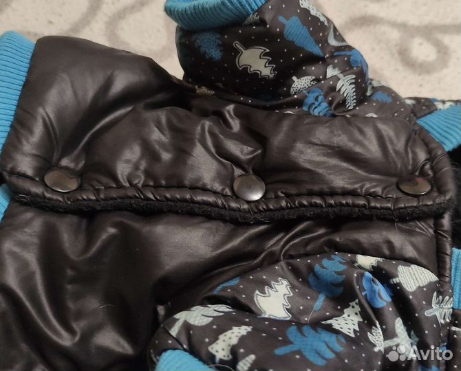 Зимний комбинезон для маленьких собак