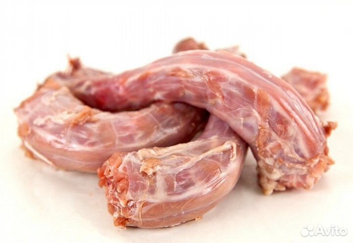 Корма для животных