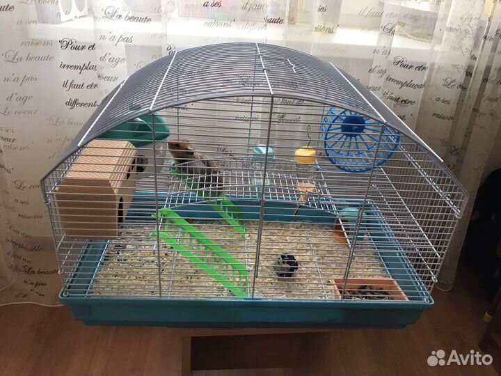 Клетка для сирийского хомяка