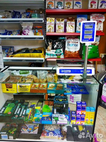 Действующий зоомагазин. Готовый бизнес