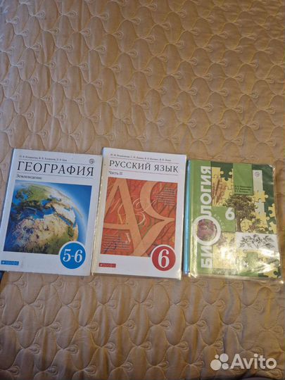 Учебники. 6 класс
