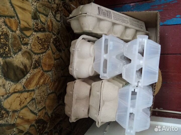 Лотки для яиц