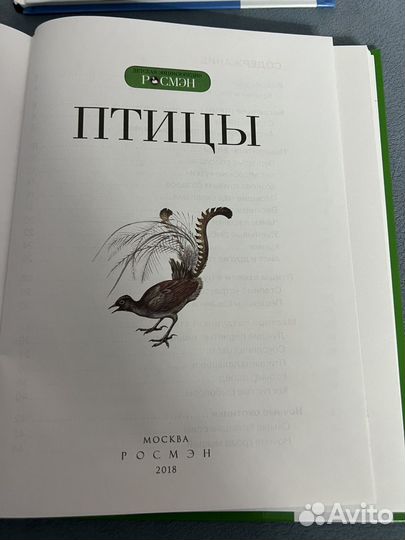 Детская энциклопедия росмэн Птицы, Кошки