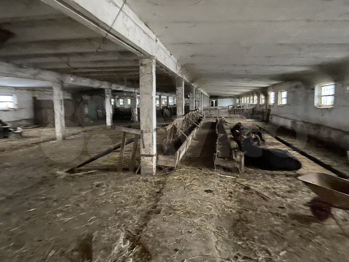 Участок 30 га (СНТ, ДНП)