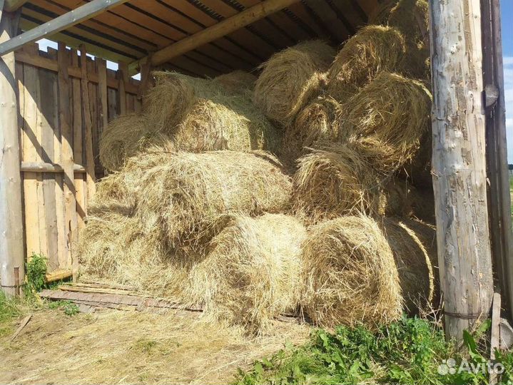 Сено в рулонах