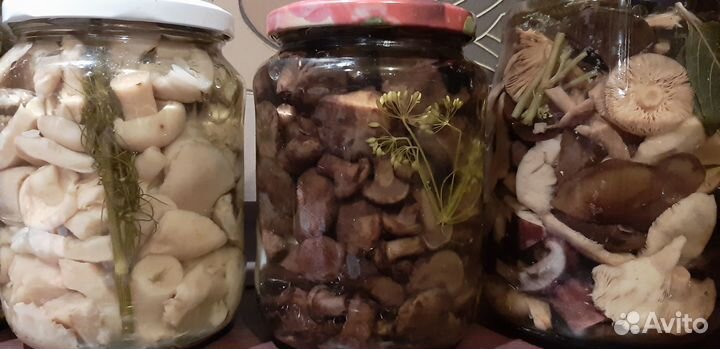 Грибы маринованные