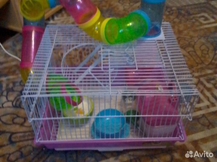 Клетка для грызунов,шар для прогулок 4000т.р