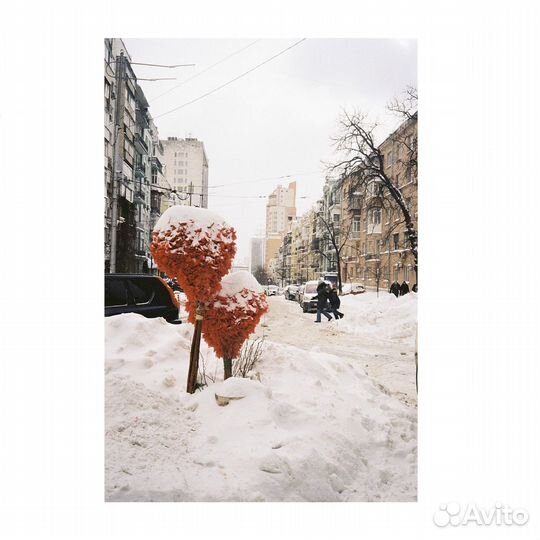 Плёночный фотоаппарат Nikon Sport Touch