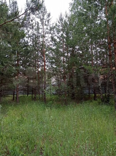 Участок 10 сот. (ИЖС)