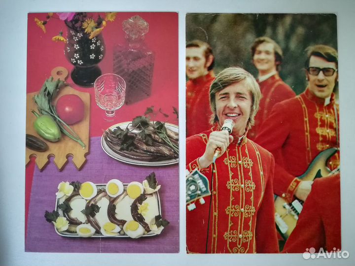 Медведь и лайки