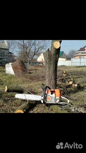 Спил деревьев