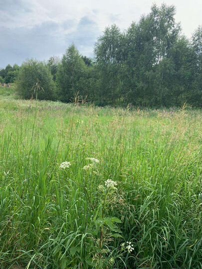 Участок 15 сот. (СНТ, ДНП)