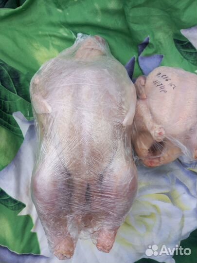 Продам тушку индейки, бройлера, утки