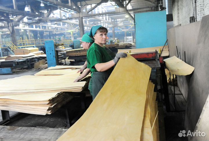 Сортировщик шпона и фанеры вахта