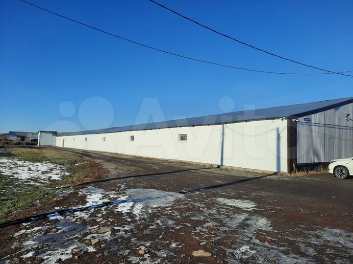 Торговая площадь, 1700 м²