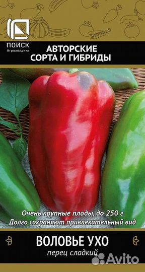 Перец болгарский рассада