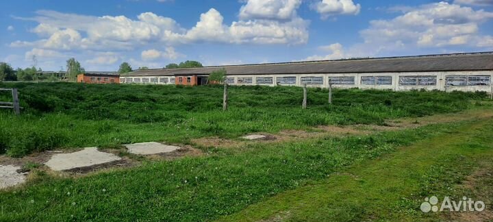 Ферма и земли под фермерское хозяйство