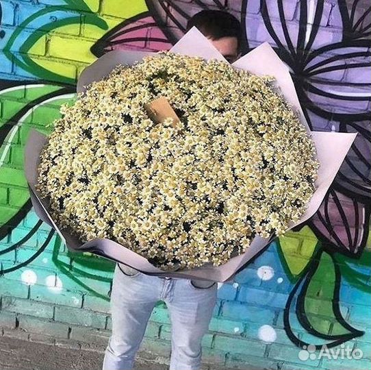 Цветы ромашки. Букеты ромашек. Цветы доставка