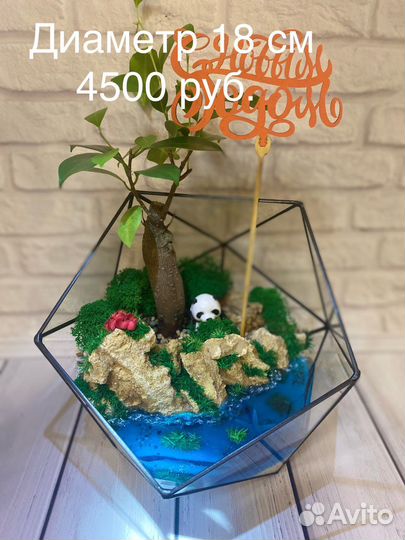 Флорариум Бонсай с Фикусом Гинсенг, Мирсиной