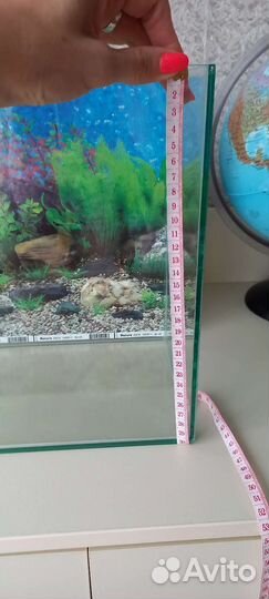 Аквариум и всё к нему