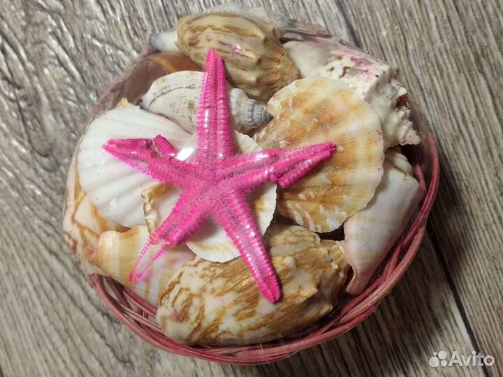 Набор ракушек