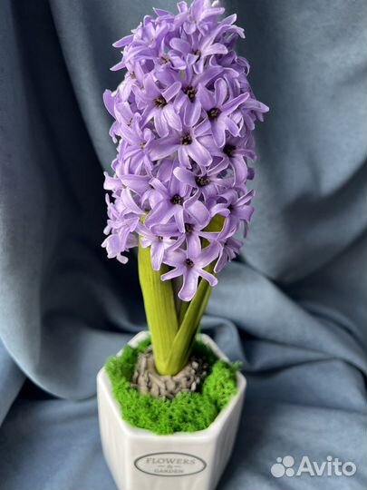 Герберы, гиацинты из фоамирана