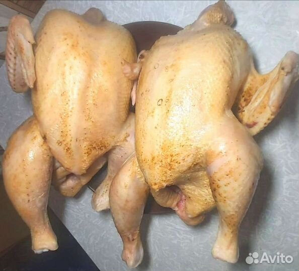 Бройлер мясом, Утка, Индюшка, Петухи