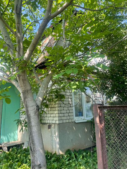 Дача 50 м² на участке 8 сот.