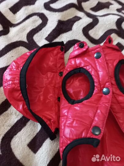 Одежда для собак,S