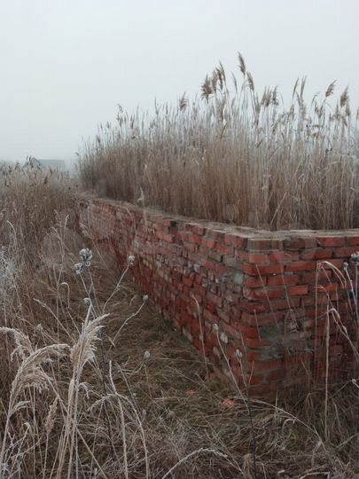 Участок 6 сот. (ИЖС)